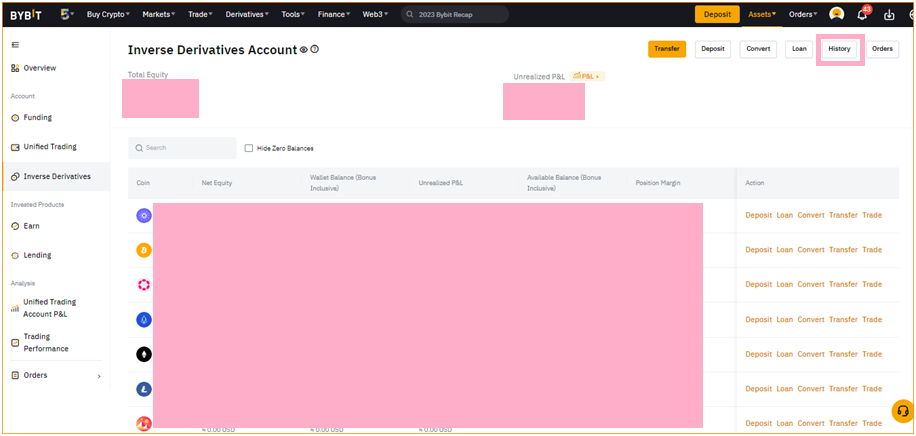 Bybit Transaction History