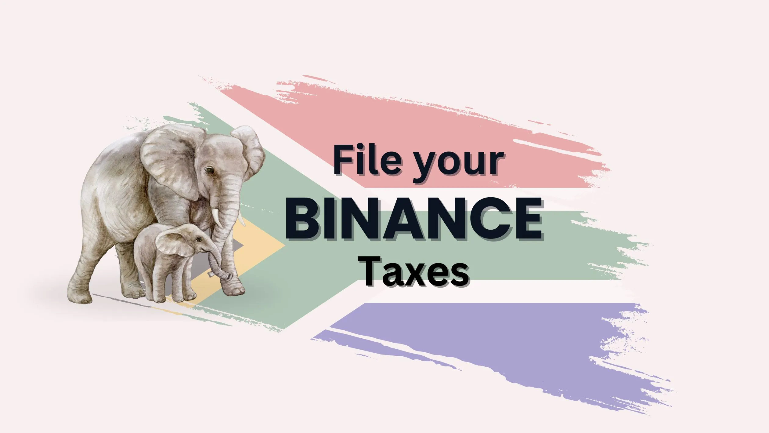 How to File your Binance Taxes in South Africa