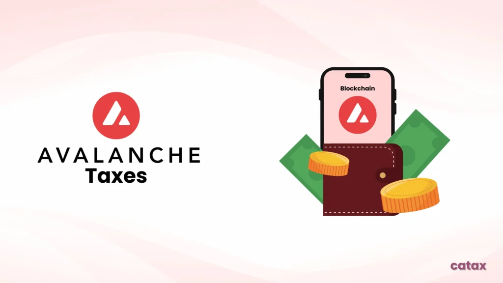 avlanche taxes