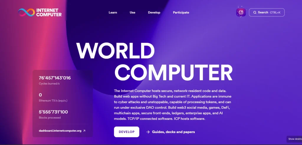 INTERNET cOMPUTER Taxes